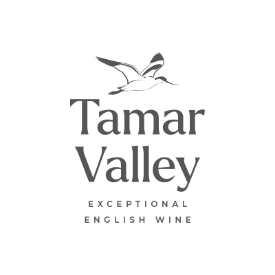 vineyard-design-concept-2