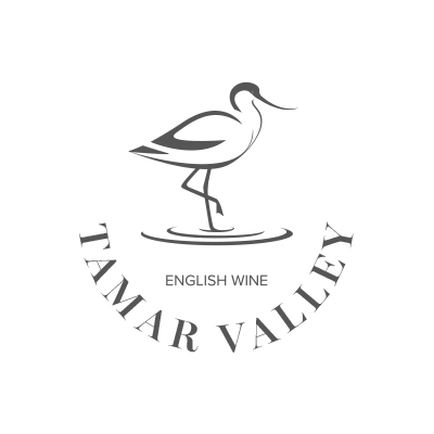 vineyard-design-concept-4