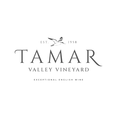 vineyard-design-concept-5