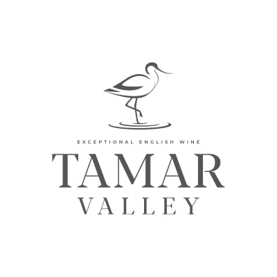 vineyard-design-concept-6